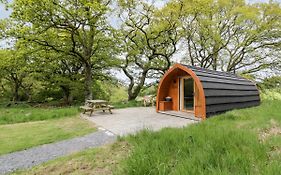 Conwy Pod